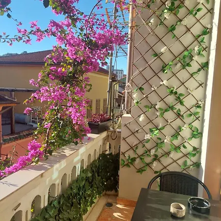 Couette-café Godard Vlorë